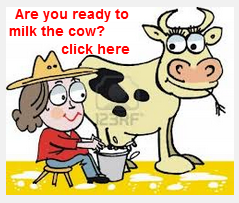 learn to milk the cow