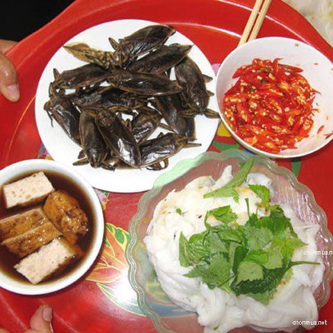 photo ca-cuong-983290-1368595077__zps2a508c9e.jpg