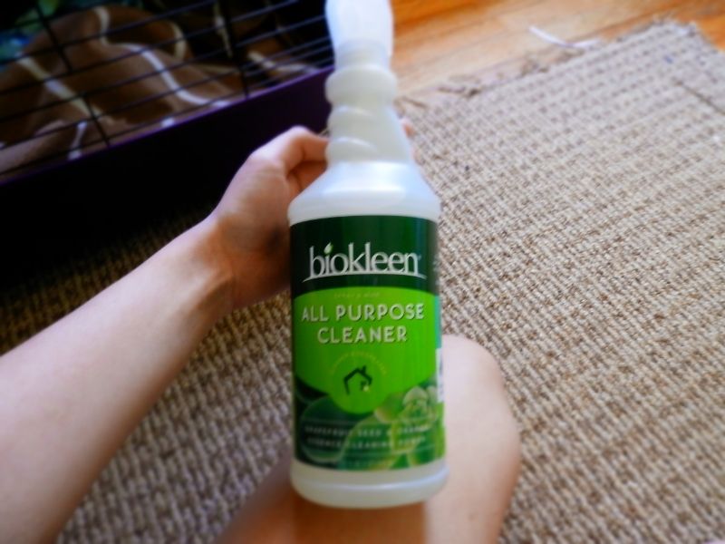 Rat Safe Cleaning Products? Rat Forum