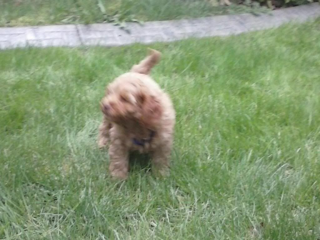 CAM00189_zps599e4e54.jpg~original