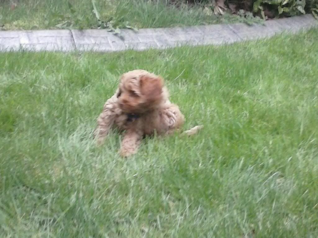 CAM00191_zpsae708e3b.jpg~original