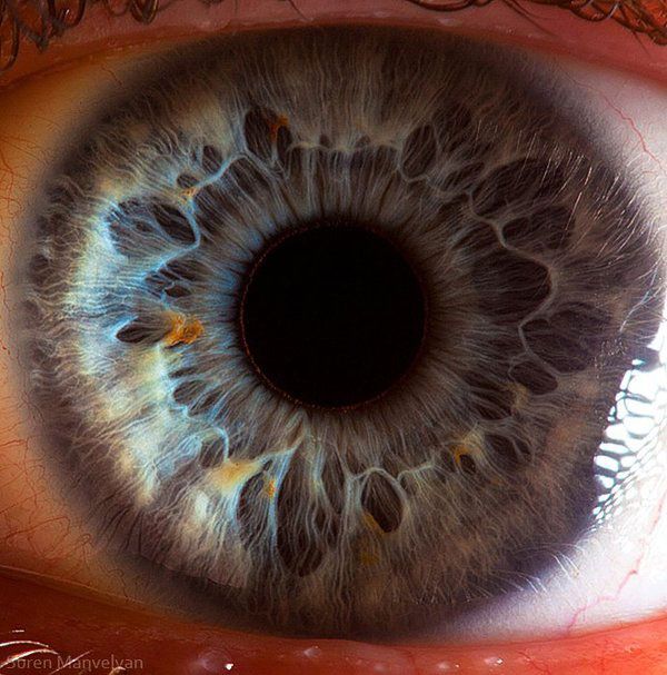 Imágenes increíbles, algunas te vas a quedar..(+150 imagen Imágenes increíbles, algunas te vas a quedar..(+150 imagen