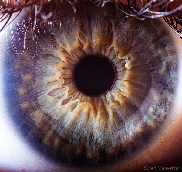 captura en el momento exacto captura en el momento exacto