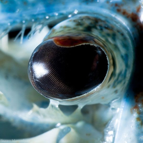Imágenes increíbles, algunas te vas a quedar..(+150 imagen Imágenes increíbles, algunas te vas a quedar..(+150 imagen