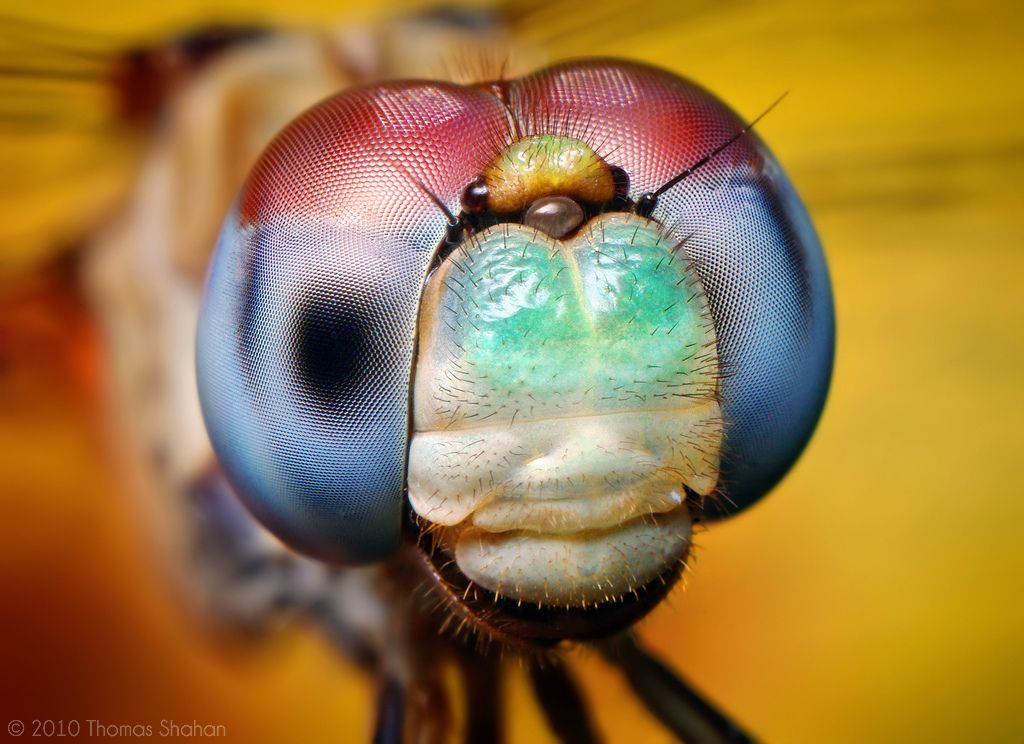 captura en el momento exacto captura en el momento exacto