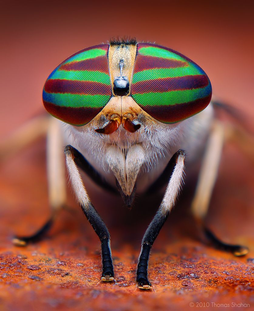 Imágenes increíbles, algunas te vas a quedar..(+150 imagen Imágenes increíbles, algunas te vas a quedar..(+150 imagen