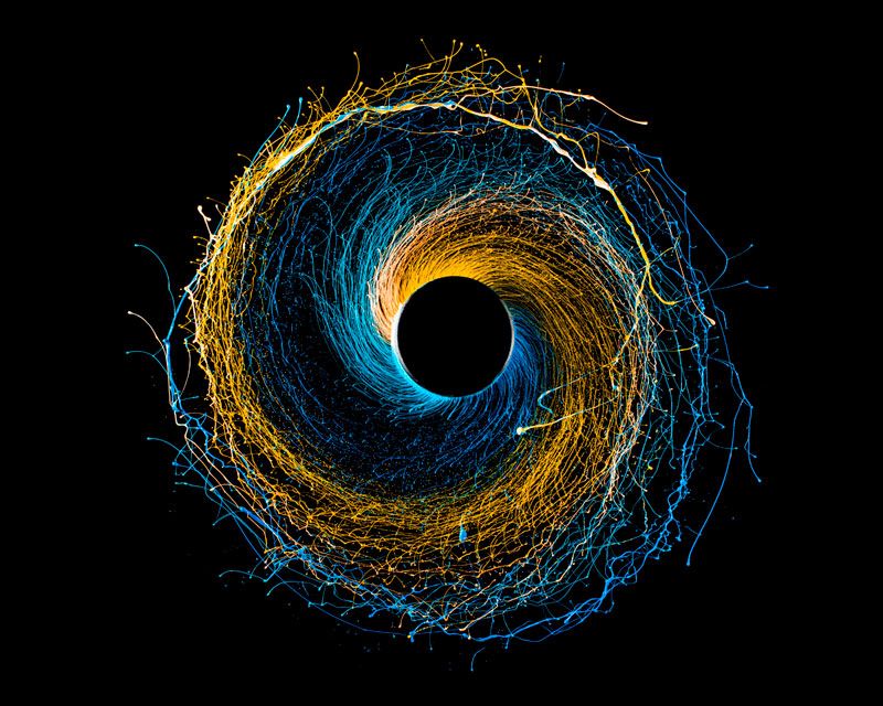 imagenes microscopicas imagenes microscopicas