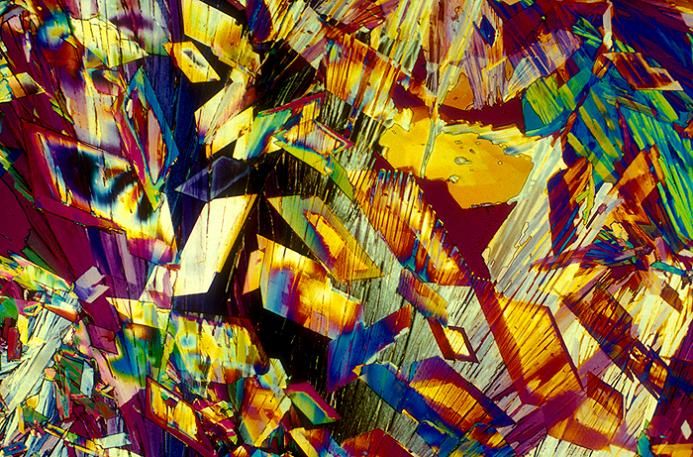 imagenes microscopicas imagenes microscopicas