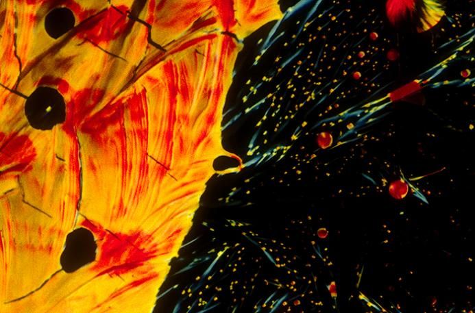 fotografias de microscopio fotografias de microscopio