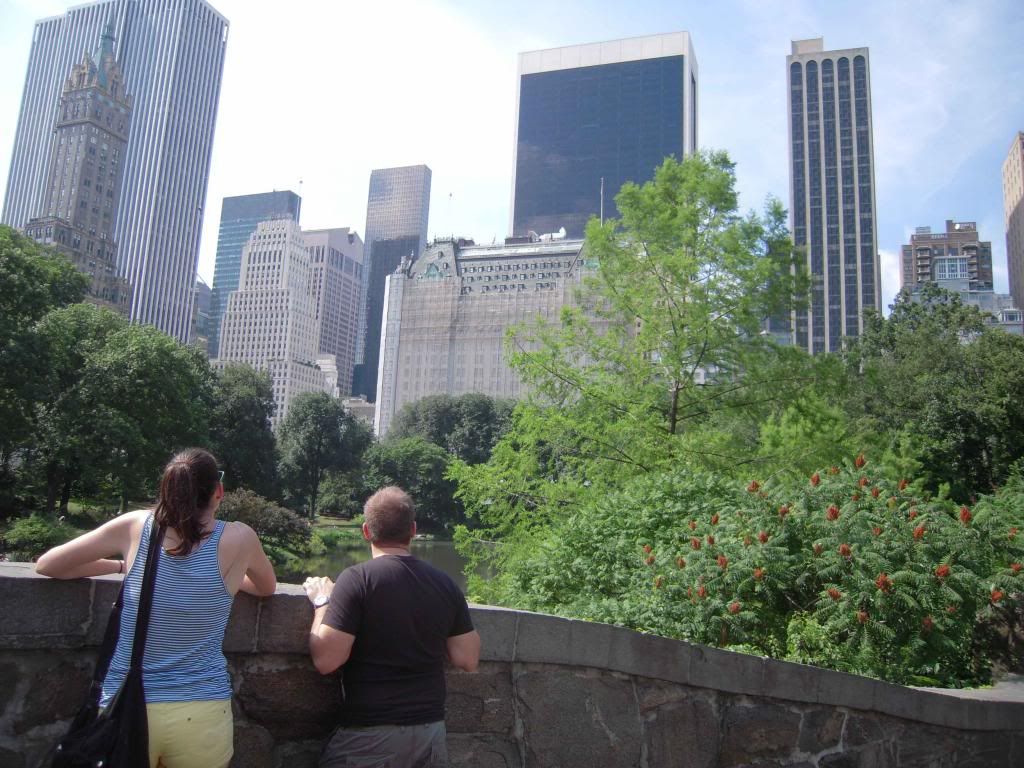 Pineapple Dazzle New York Central Park 