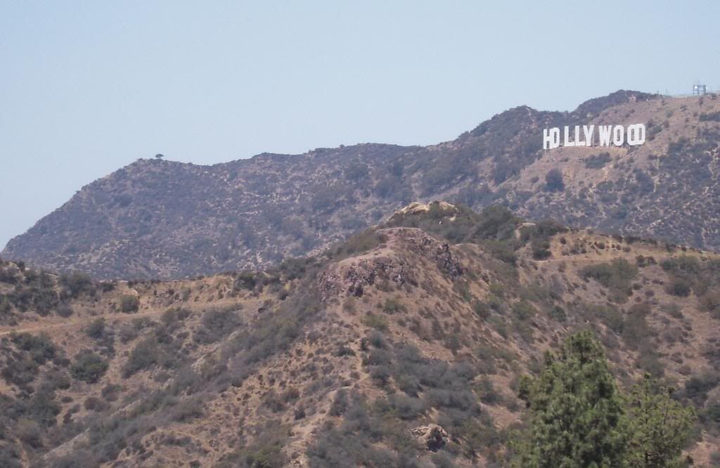 Pineapple Dazzle Los Angeles Hollywood Sign 