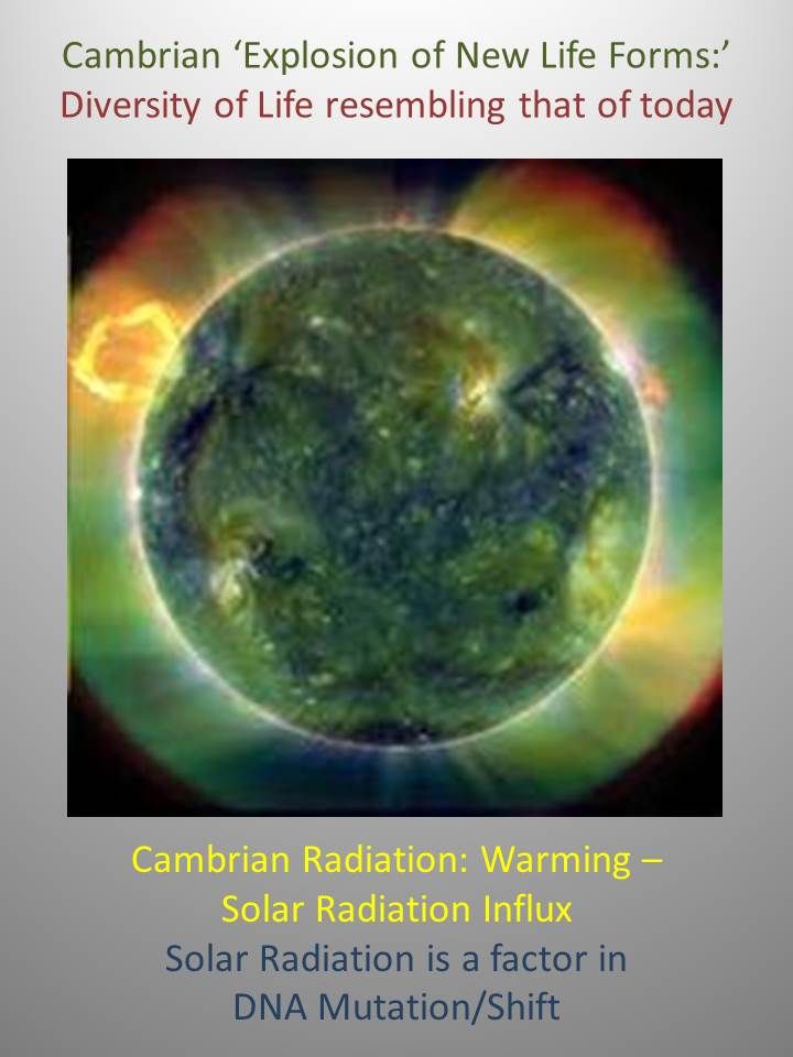 50_solar_radiation_-_mutation.jpg