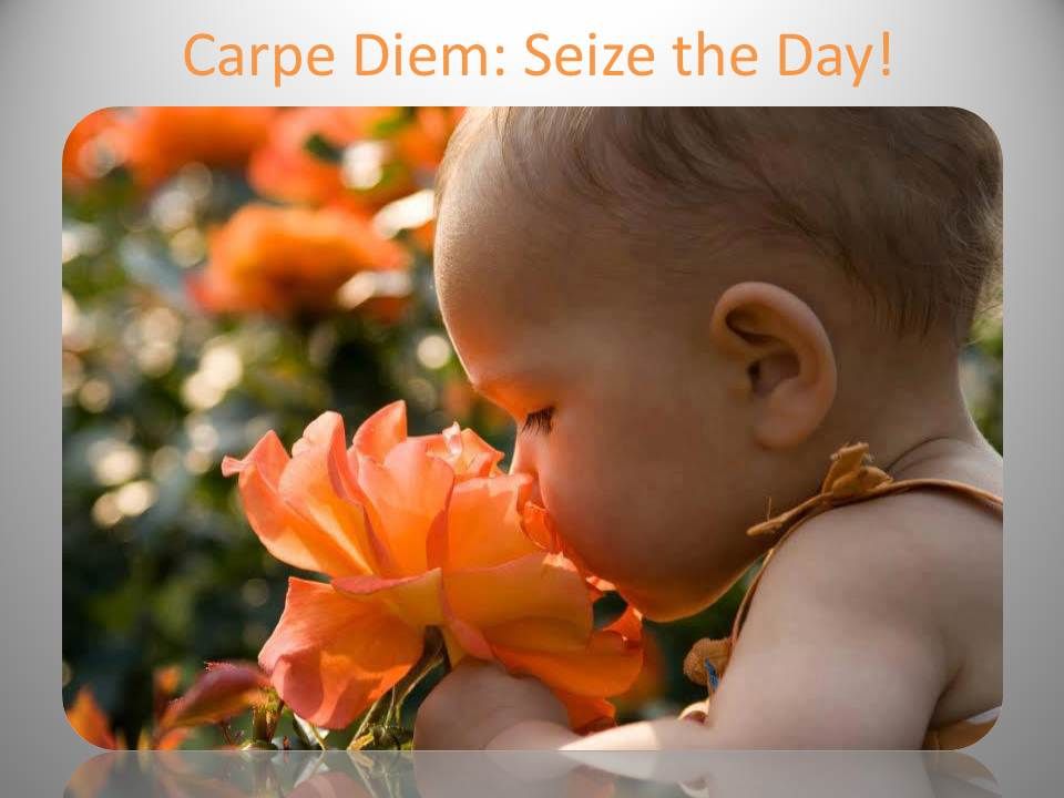 Carpe_Diem_-_Seize_the_Day.jpg