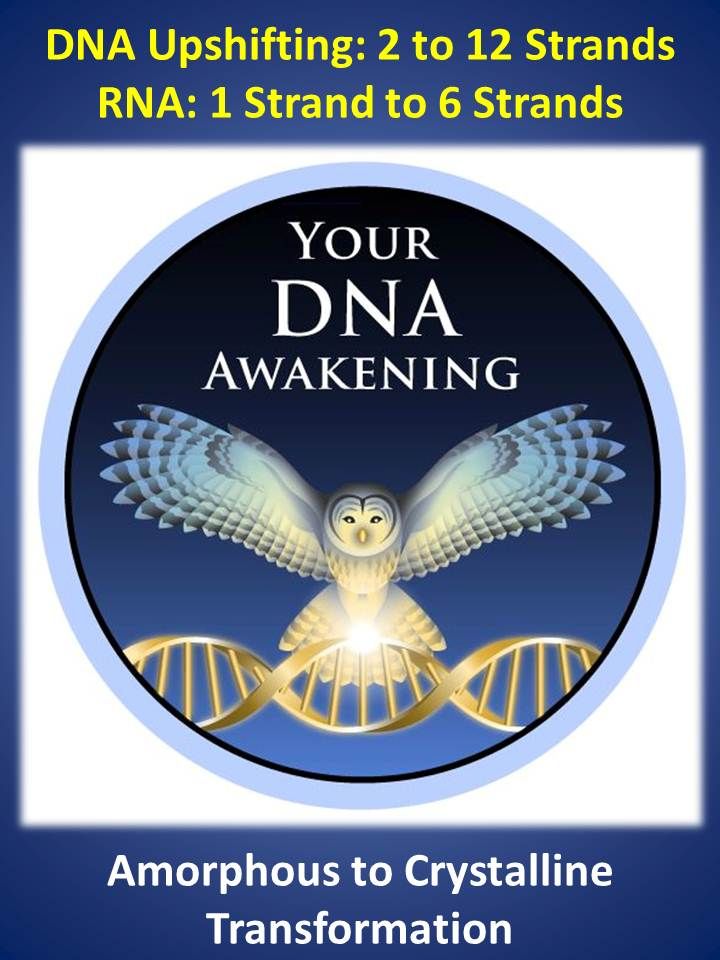 DNA_Awakening.jpg