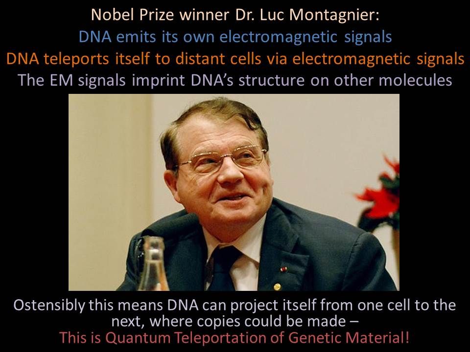 DNA_Teleportation_-_Dr_Montagnier.jpg