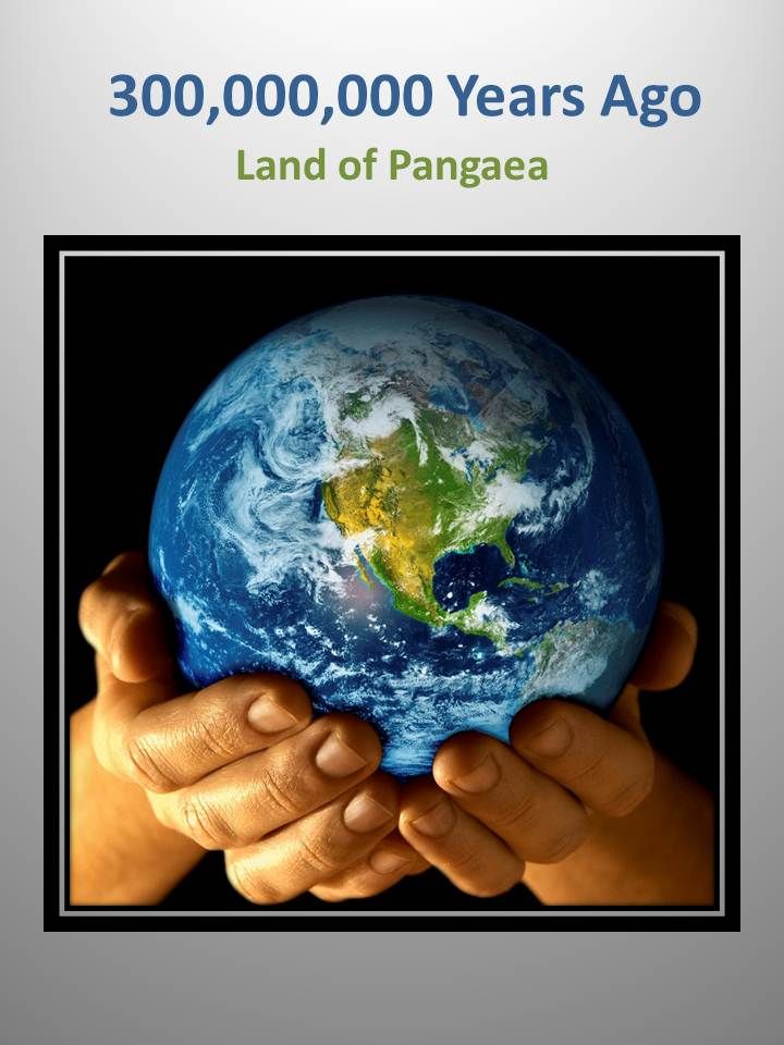 land_of_Pangaea.jpg