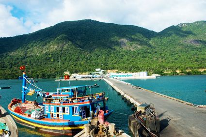 dao-phu-quy-co-gi-dep_livephuot