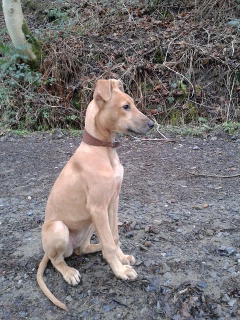 20121223_100503.jpg