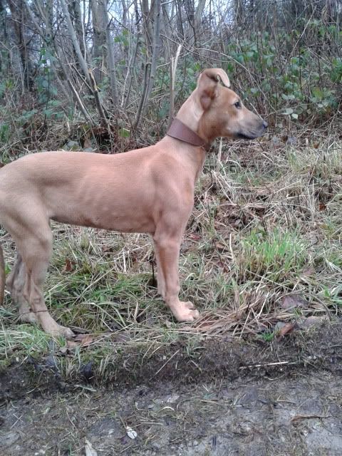 20121223_105459.jpg