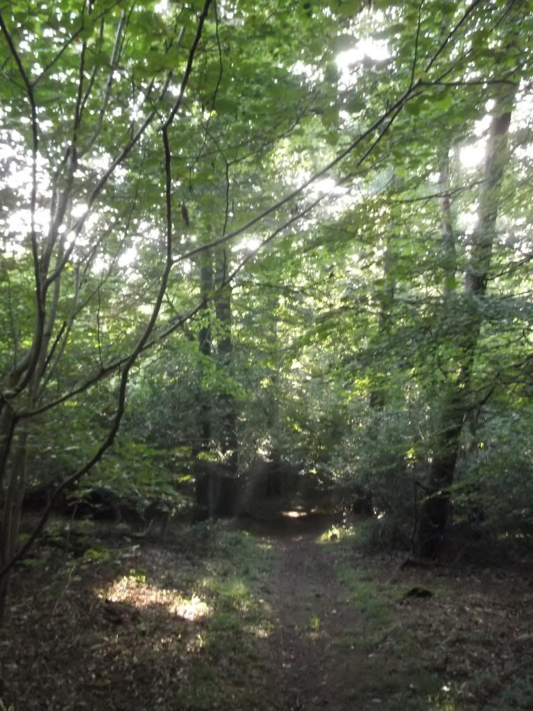 1c6ab1f9-ff2c-422f-b1ed-6f35adba902e_zps