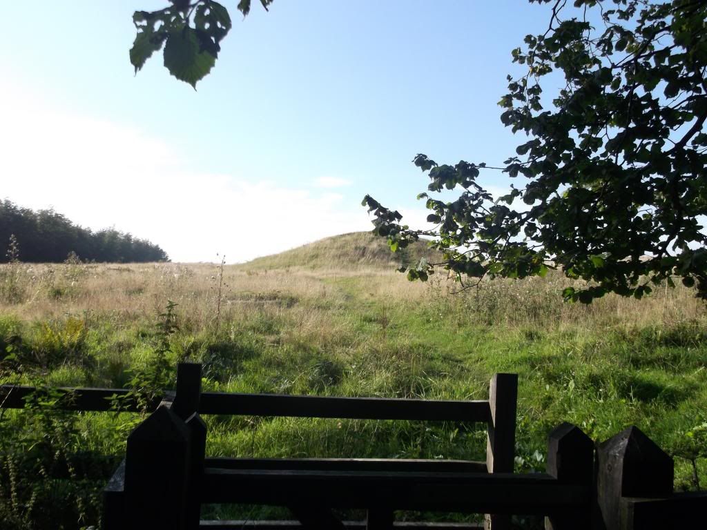 DSCF0307_zps5c6afa8f.jpg