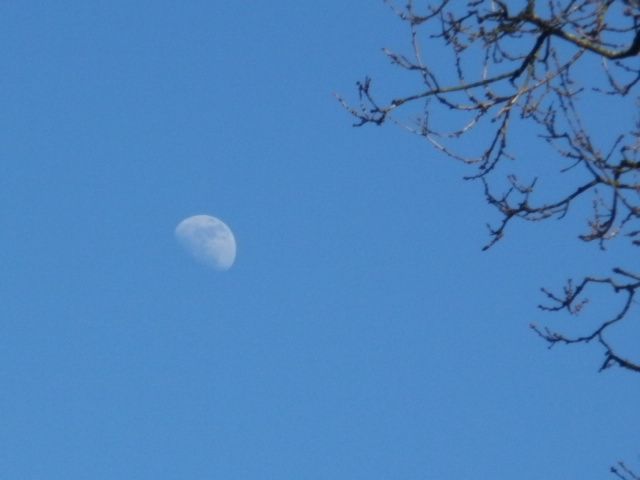 P4190032_zpsb77a88a4.jpg