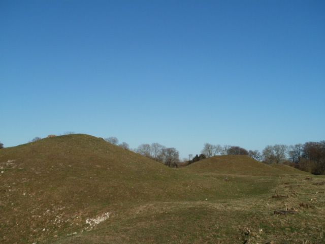 P4190044_zpsb933f0e1.jpg
