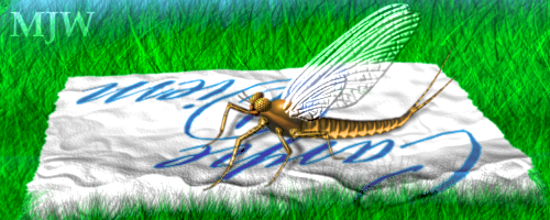 BugSig4_zpsrmxmsgtn.png~original