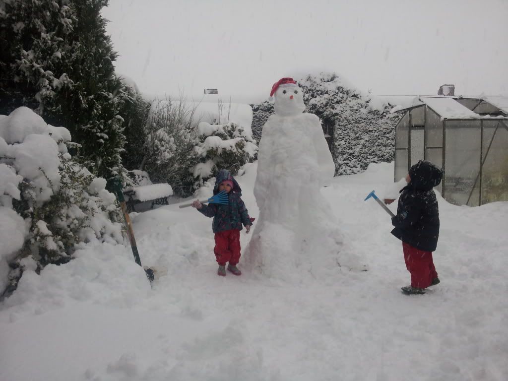 20130121_154304_zps285a24a8.jpg