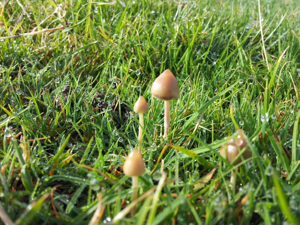 20130926_101808_zps5293aa9d.jpg