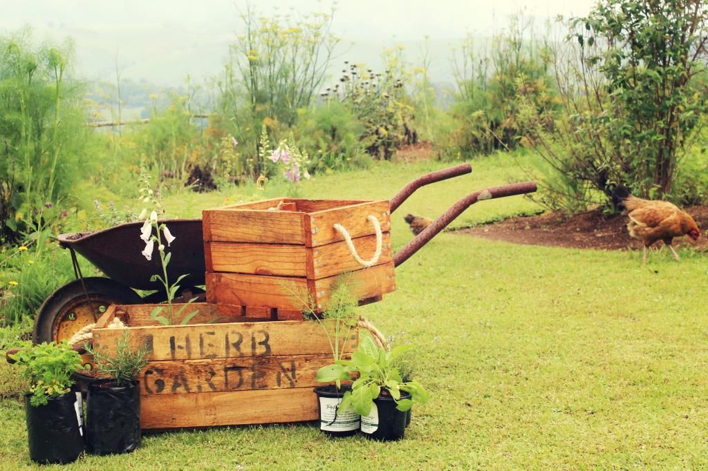 Herbbox