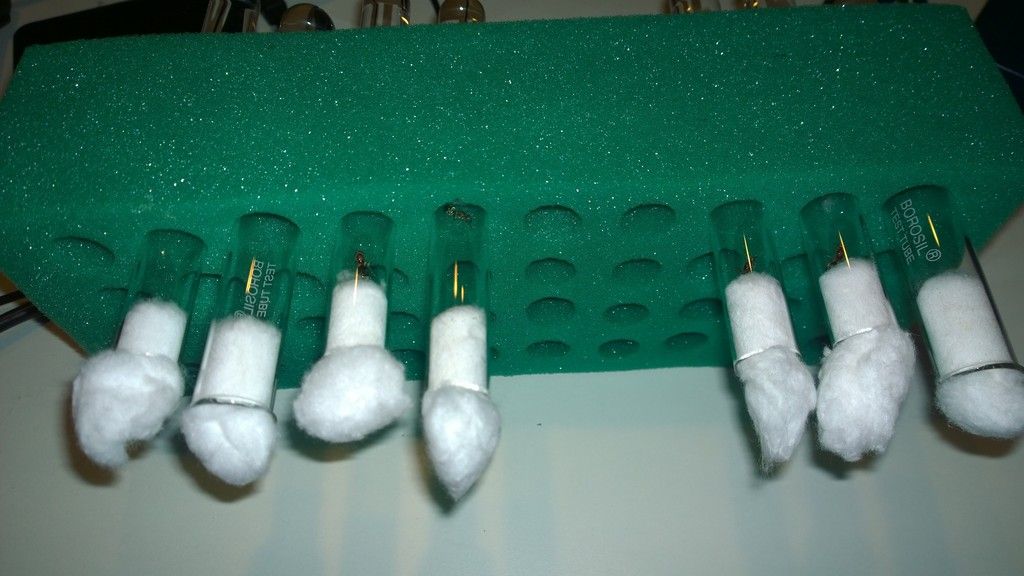 foam%20holder_zpswgoyebup.jpg