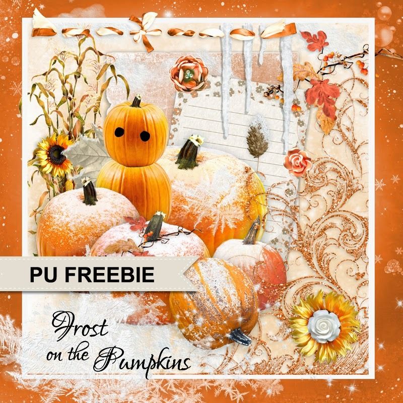 00%20chey0kota_Frost%20Pumpkin%20Mini%20