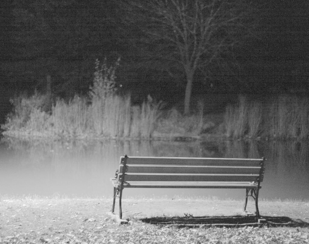 Lonely bench zpsbhneturh - Winner of Urdu Adab Competition March 2015