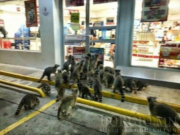  photo acid_picdump_08_zpsdhqzviuk.jpg