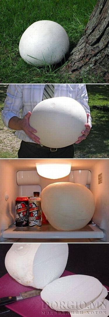  photo acid_picdump_109_zpssiihbckj.jpg