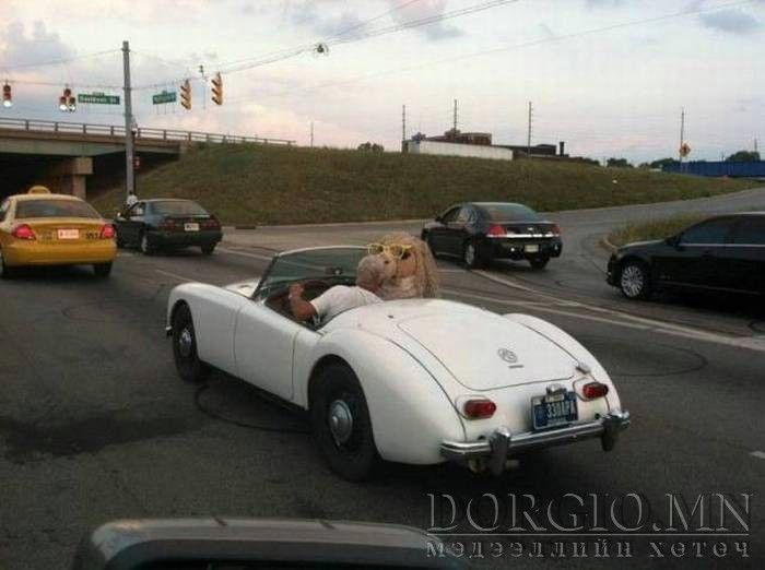  photo acid_picdump_17_zpsinvjwnnb.jpg