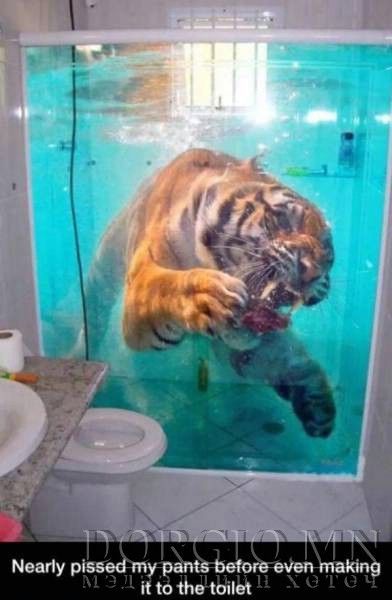  photo acid_picdump_51_zpsitzifg7d.jpg