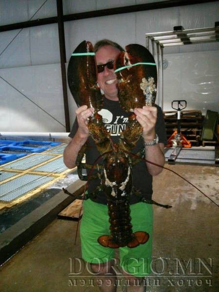  photo acid_picdump_67_zps2jodbu1p.jpg