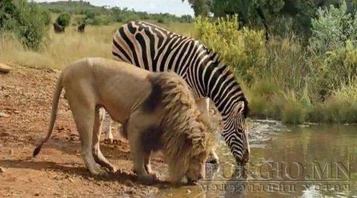  photo acid_picdump_17_zpsscb6deea.jpg