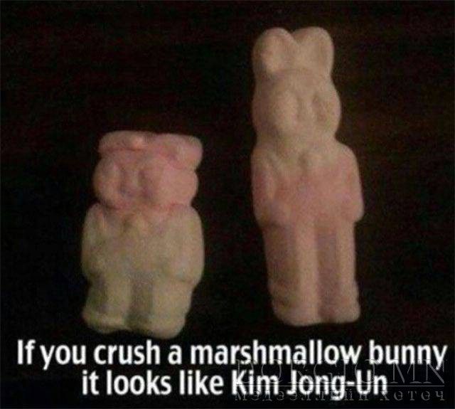  photo acid_picdump_56_zpswpbntjx0.jpg