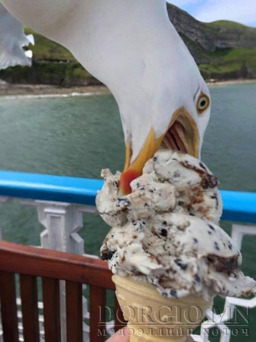  photo acid_picdump_73_zps5zmainls.jpg