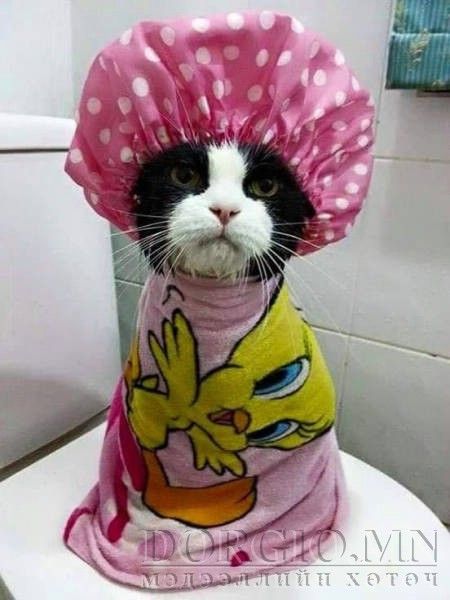  photo acid_picdump_82_zpswlsyn1kt.jpg