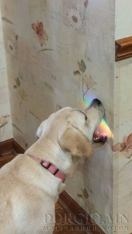  photo acid_picdump_116_zps3cre3nob.jpg