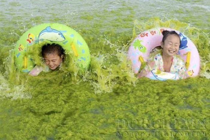  photo acid_picdump_28_zpsio7tn2ai.jpg