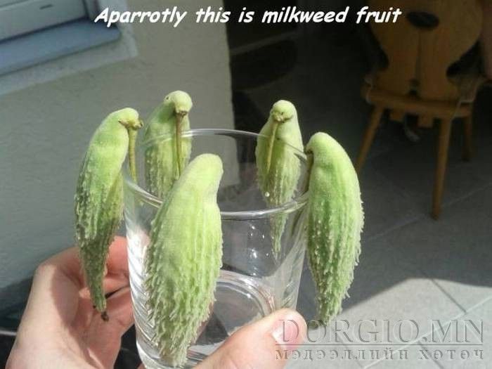  photo acid_picdump_51_zpsik4tf5ah.jpg