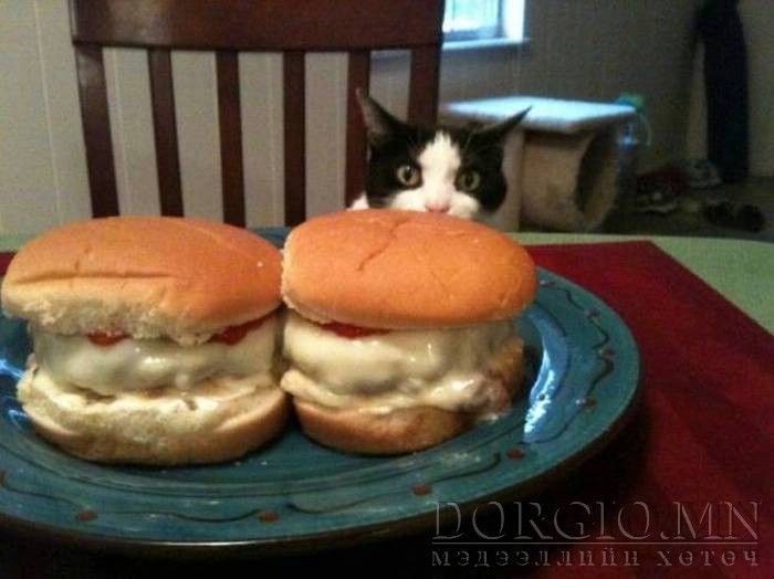  photo acid_picdump_52_zpsjuhgtgx2.jpg
