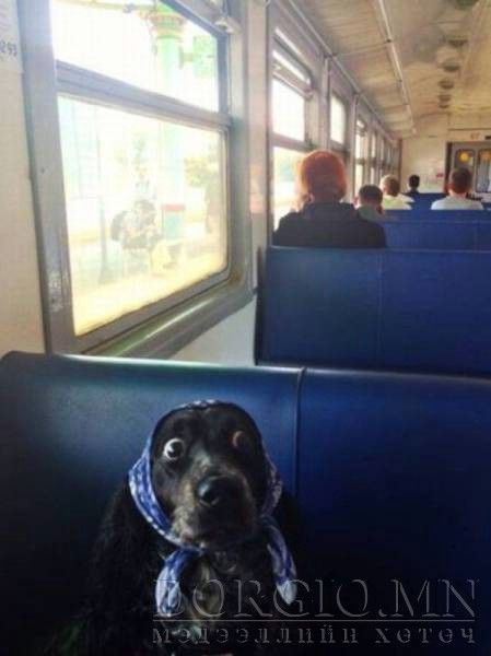  photo acid_picdump_78_zpsmd2jf7tf.jpg