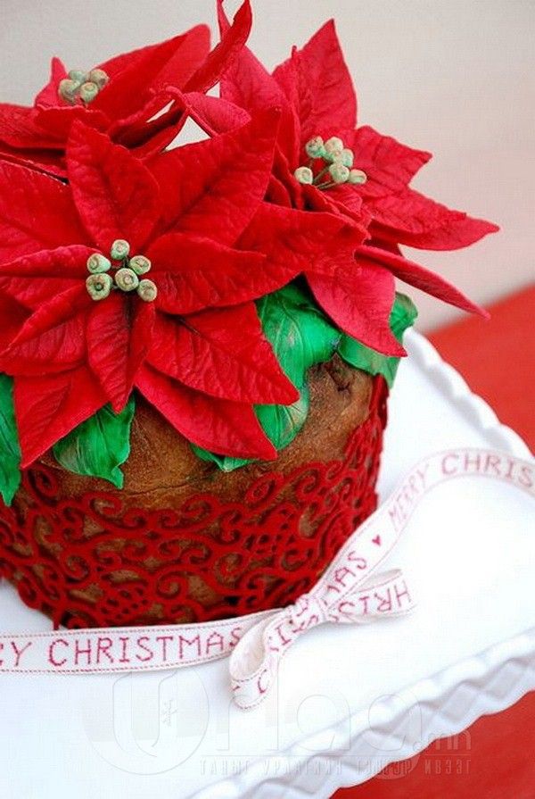  photo Toppers-Galore-Decorating-Your-Christmas-Cake_37_zps36bcacd5.jpg