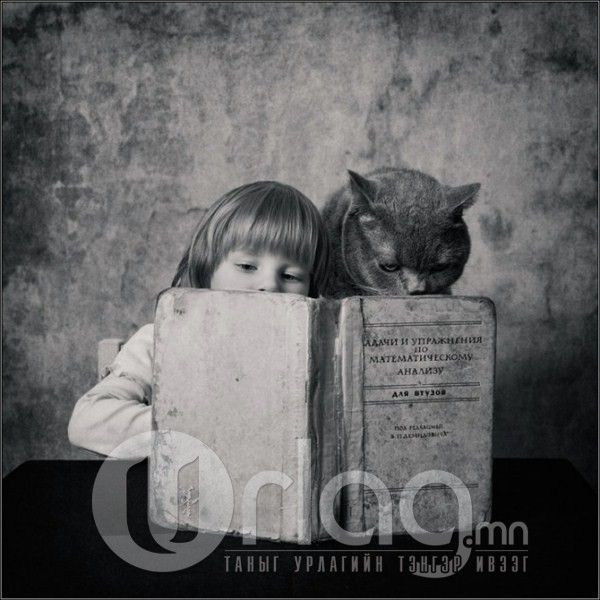  photo little_girl_and_tomcat_by_andy_prokh_10_zps4333baab.jpg